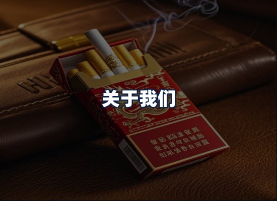关于我们